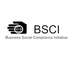 bsci-logo